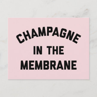Champagne Membrane Funny Quote Postcard