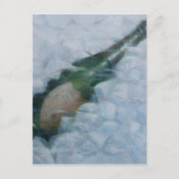 Champagne on ice 2012