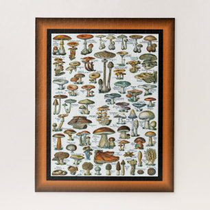 Champignons Pour Tous ~ Mushrooms For All ~   Jigsaw Puzzle