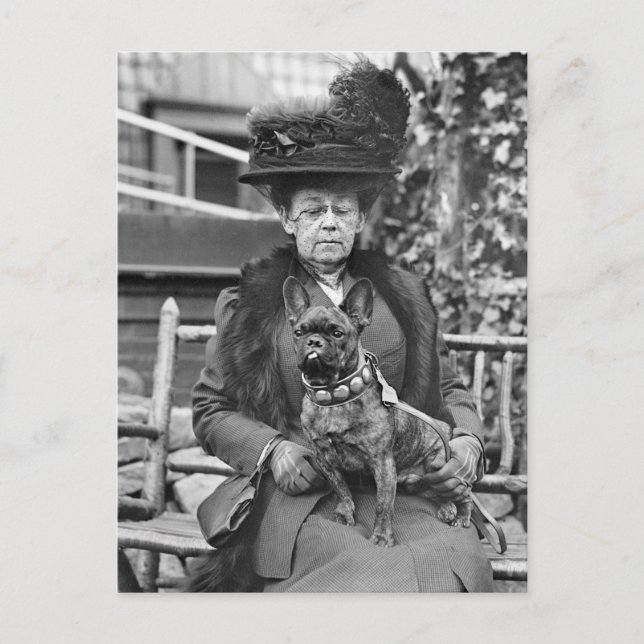 Champion French Bulldog, 1920s Postcard (Front)