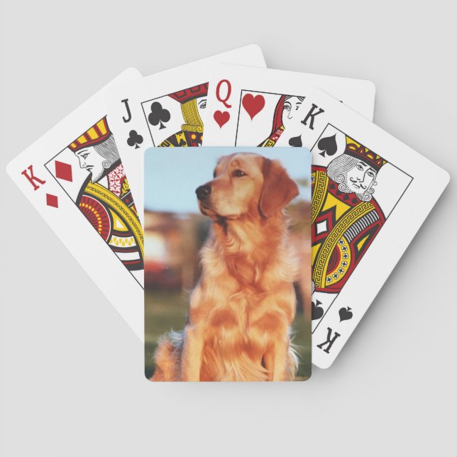 Champion Golden Retriever Amazing Pet Dog Playing Cards (Back)