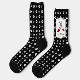 Champion king of the mountain dog agility funny socks