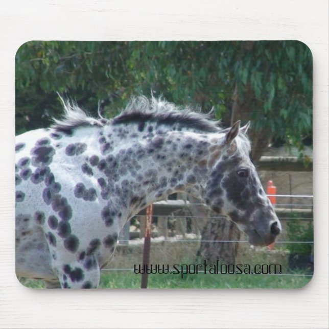 champion reining stallion mouse mat (Front)