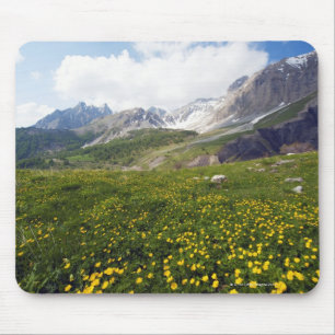Champs Pass spring French Riviera Hinterland Mouse Mat
