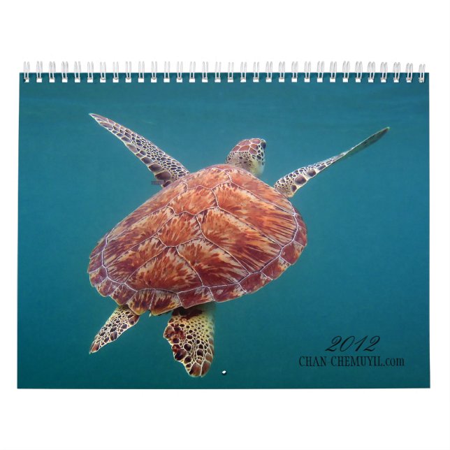 Chan Chemuyil Underwater Calendar (Cover)