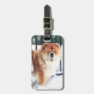 CHANCE & CHLOE heARTdog tag