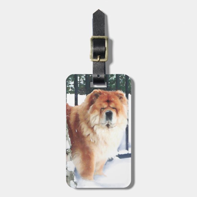 CHANCE & CHLOE heARTdog tag (Front Vertical)