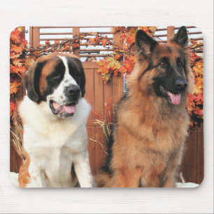 Chance LH-Shepherd Mae St Bernard Photo-3 Mouse Mat