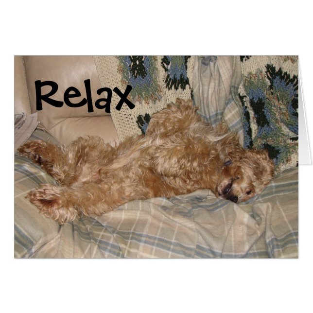 Chance Relax (Front Horizontal)
