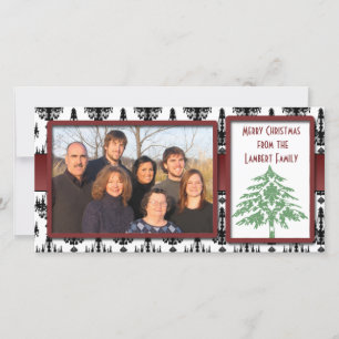 Chandelier Damask Green Damask Tree Photo Cards