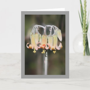 Chandelier flower card