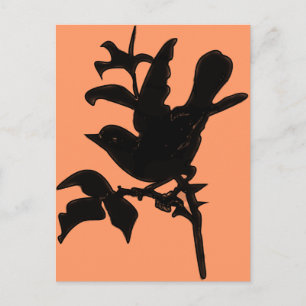 Change Background Colour Postcard