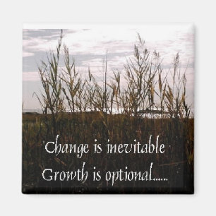 Change is inevitable magnet