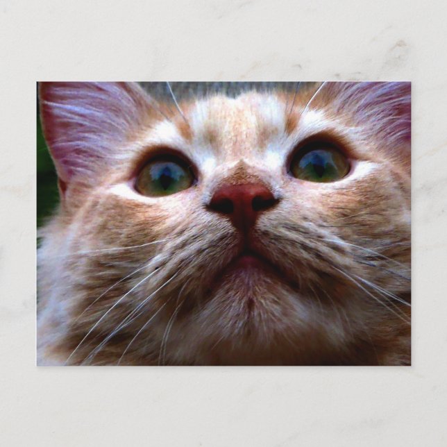 Change of Address Card (Front)