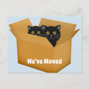 Change of Address Cats Post Card