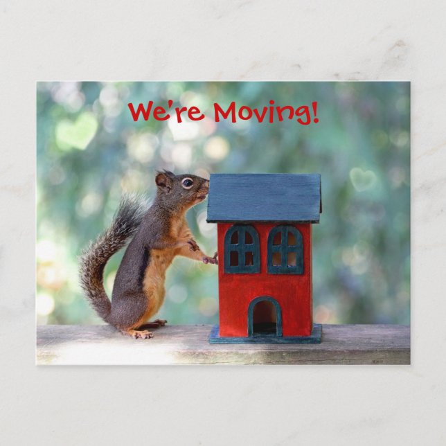 Change of Address Moving Announcement Squirrel Postcard (Front)