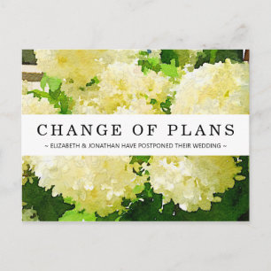 Change of Plans White Annabelle Hydrangea Postcard