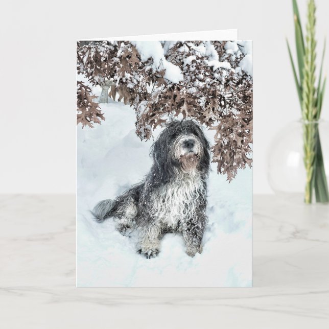 Change of Seasons Card (Front)