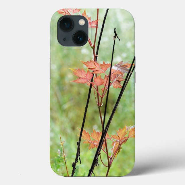 Change of Seasons, Fall Leaves in Green Field, Case-Mate iPhone Case (Back)