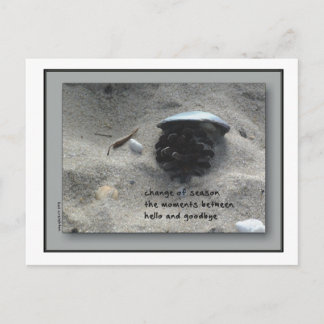 Change of Seasons Postcard