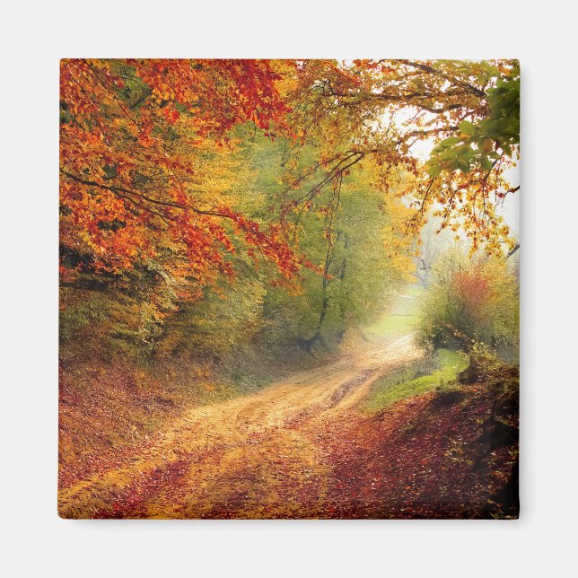Changing Colours of Autumn Magnet (Front)