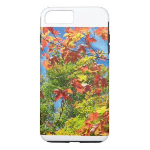Changing Leaves Nature Ipod Case