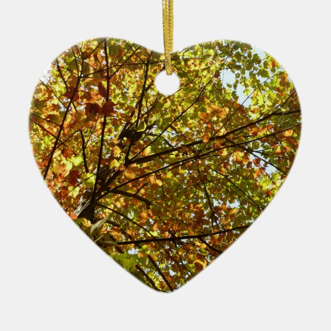Changing Maple Tree Green and Gold Fall Colour Ceramic Tree Decoration (Front)