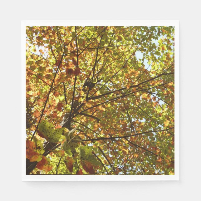 Changing Maple Tree Green and Gold Fall Colour Napkin (Front)