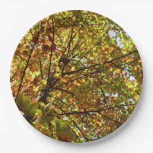 Changing Maple Tree Green and Gold Fall Colour Paper Plate