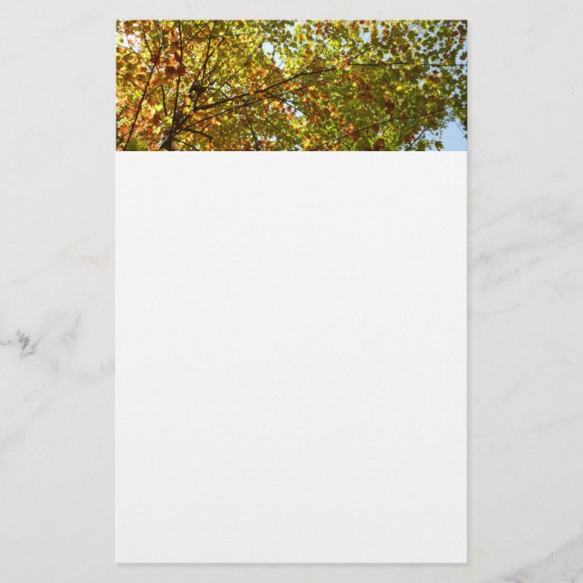 Changing Maple Tree Green and Gold Fall Colour Stationery (Front)