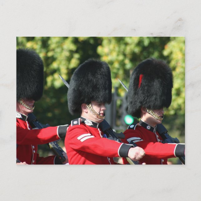 Changing of the Guards Buckingham Palace Postcard (Front)
