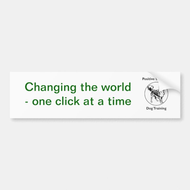 Changing the world bumper sticker (Front)
