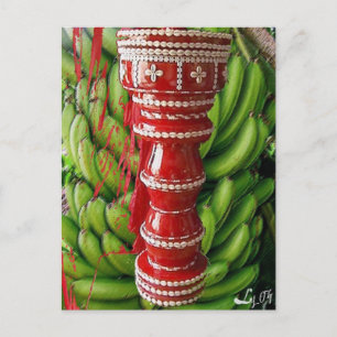 CHANGO RACIMO BATEA POSTCARD