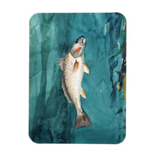 Channel Bass Fish American Painting by Homer Magnet