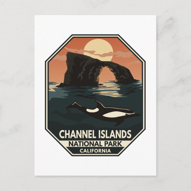 Channel Islands National Park Dolphin Retro Emblem Postcard (Front)