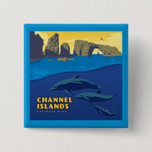 Channel Islands National Park Dolphins 15 Cm Square Badge