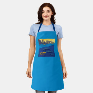 Channel Islands National Park Dolphins Apron