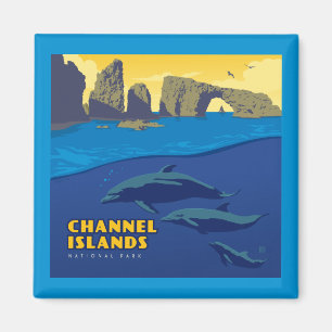 Channel Islands National Park Dolphins Magnet