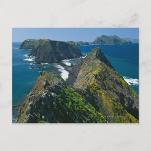 Channel Islands National Park, Southern Postcard
