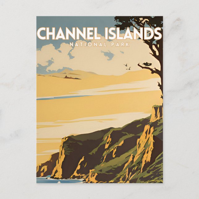 Channel Islands National Park Vintage Travel Postcard (Front)