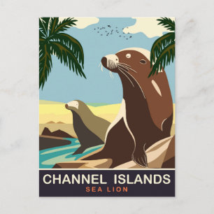 Channel Islands, Sea Lion, Travel Postcard
