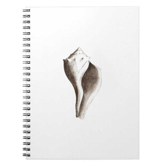Channeled Whelk (line art) Notebook (Front)