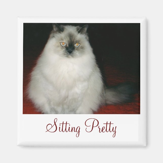 Chantal the Cat Sitting Pretty Magnet (Front)