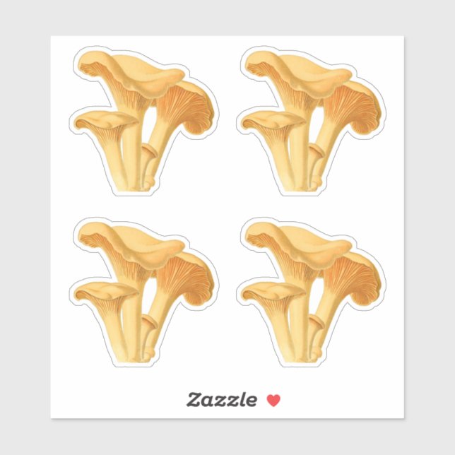 Chanterelle Mushroom Vintage Botanical Illustratio (Sheet)