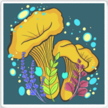 Chanterelle Mushroom Vinyl Sticker
