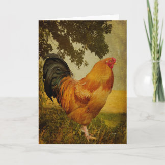 Chanticleer Rooster Blank Greeting Card