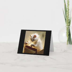 Chantilly-Tiffany Cat Card