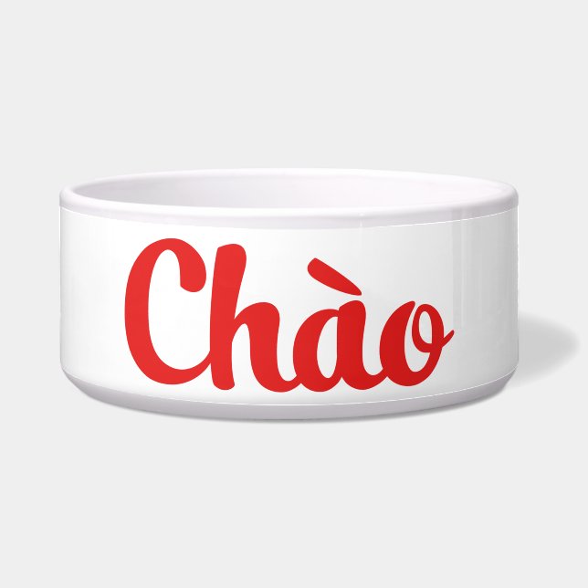 Chào / Hello ~ Vietnam / Vietnamese / Tiếng Việt (Front)