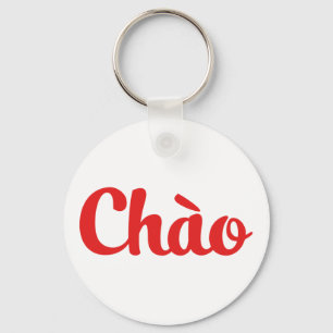 Chào / Hello ~ Vietnam / Vietnamese / Tiếng Việt Key Ring