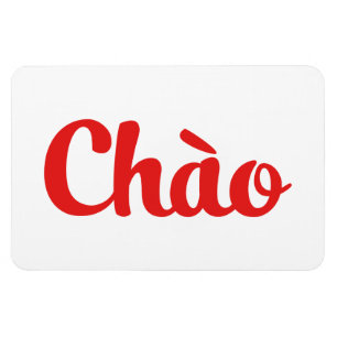 Chào / Hello ~ Vietnam / Vietnamese / Tiếng Việt Magnet